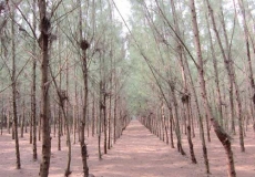 讲讲我在平潭成长的经历吧