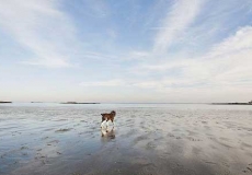 记忆中平潭的冬天