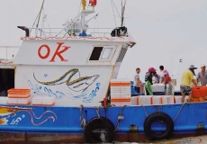 平潭岛海鲜码头在哪里?平潭岛的海鲜便宜吗?