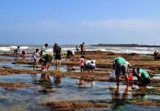 平潭赶海攻略时间表 平潭赶海地点有哪些?