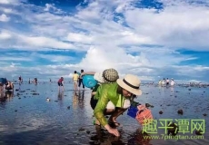 春节、五一、国庆长假一家人平潭自由行旅游攻略