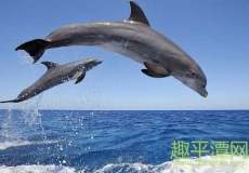 平潭牛山岛怎么去有船去吗?牛山岛可以上去吗?