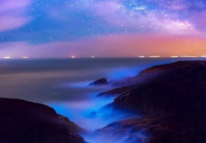 平潭几月有蓝眼泪?平潭蓝眼泪爆发期是什么时候?