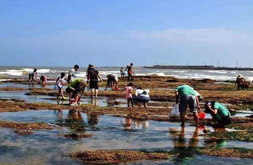 平潭赶海