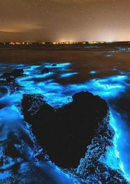 夜光藻荧光海